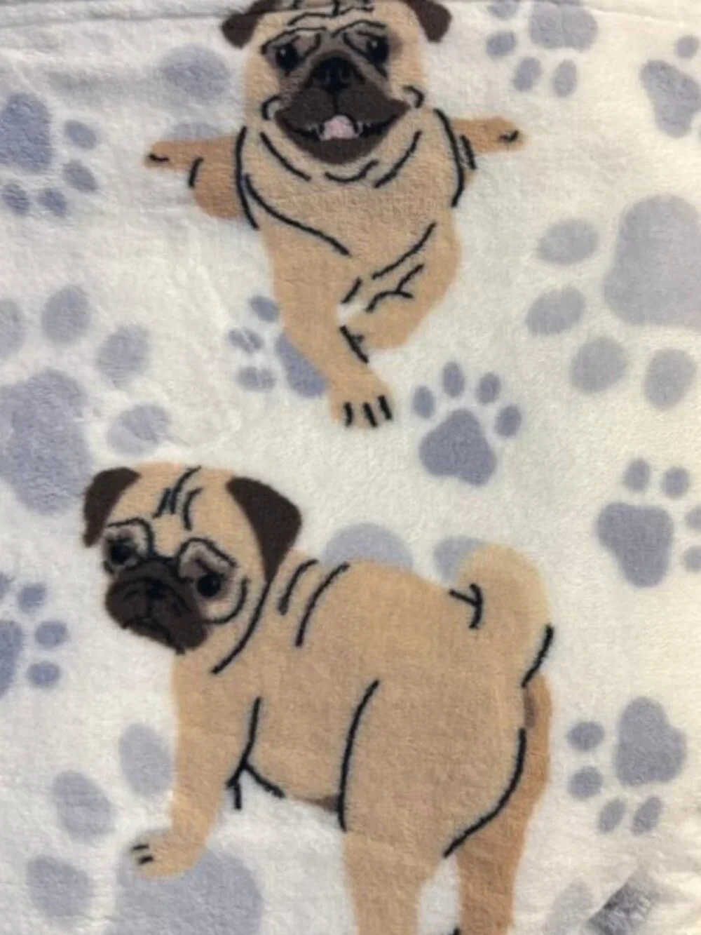 TINY PAWS nwt great